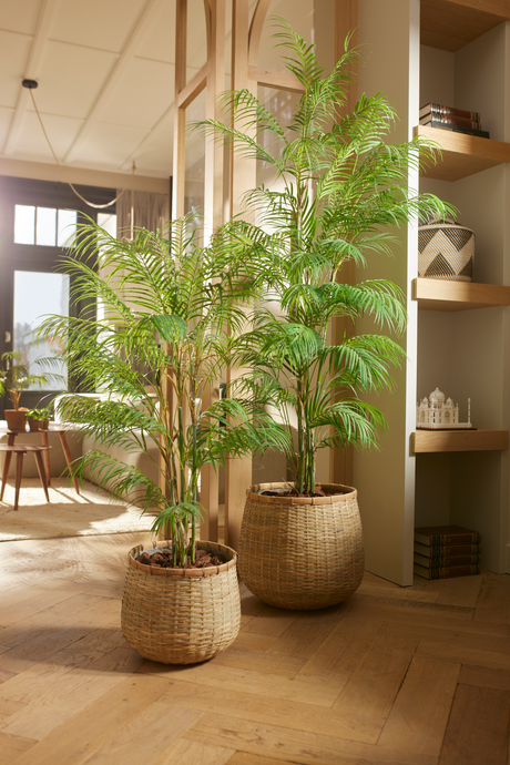 Potted Faux Palm Set (2) | Emerald Chamaedorea | Oroa.com
