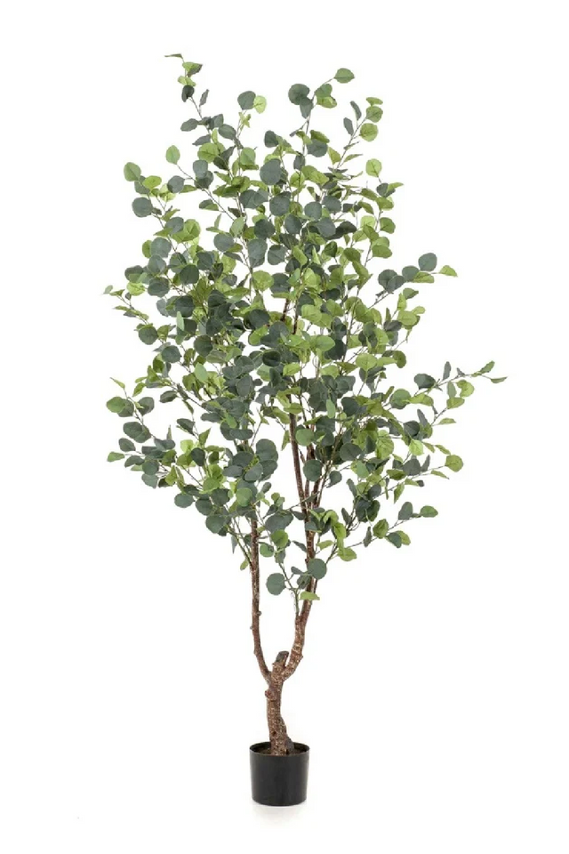 Faux Green Leafy Tree Set (2) | Emerald Eucalyptus | Oroa.com