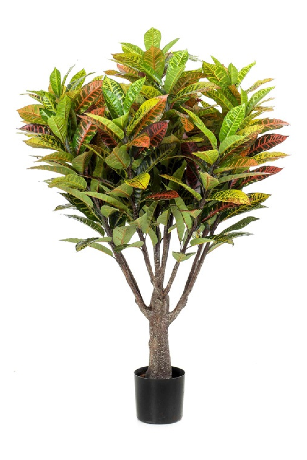 Artificial Colorful-Leaved Plant Set (2) | Emerald Croton | Oroa.com