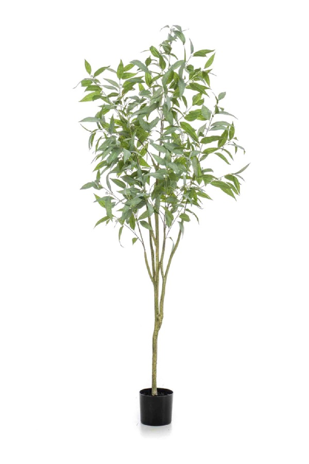 Blue Gum Faux Tree Set (2) | Emerald Eucalyptus Globulus | Oroa.com