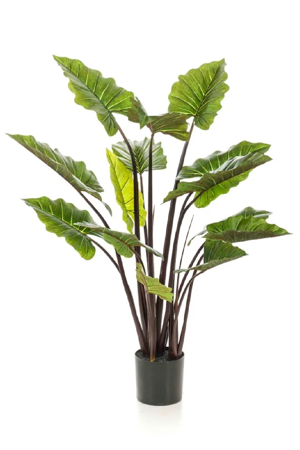 Artifical Tropical Plant Set (2) | Emerald Colocasia | Oroa.com