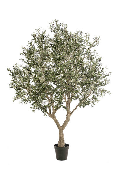 Faux Mediterranean Evergreen Tree | Emerald Olive | OROA Faux Mediterranean Evergreen Tree | Emerald Olive | OROA