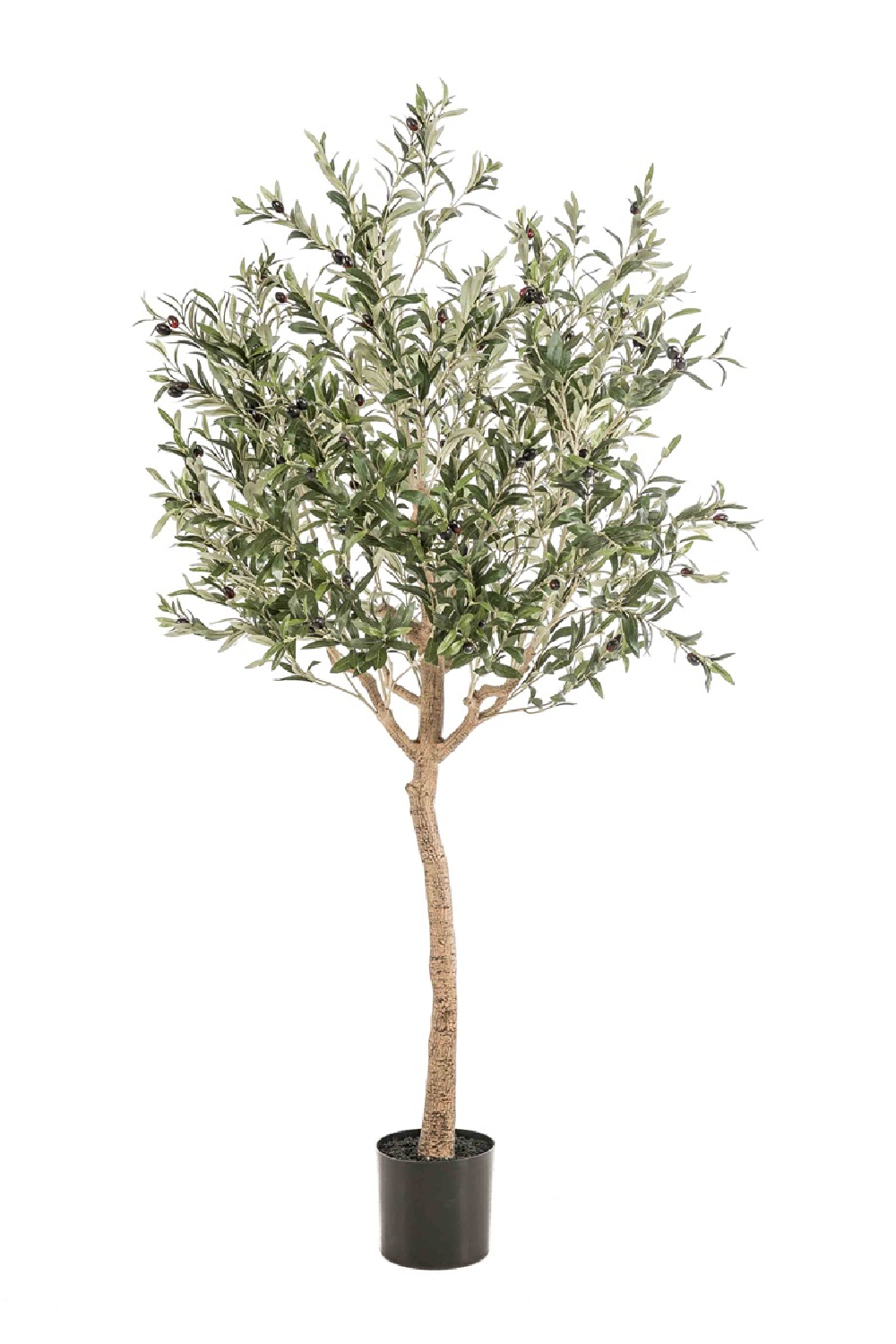 Faux Mediterranean Evergreen Tree Set (2) | Emerald Olive | Oroa.com