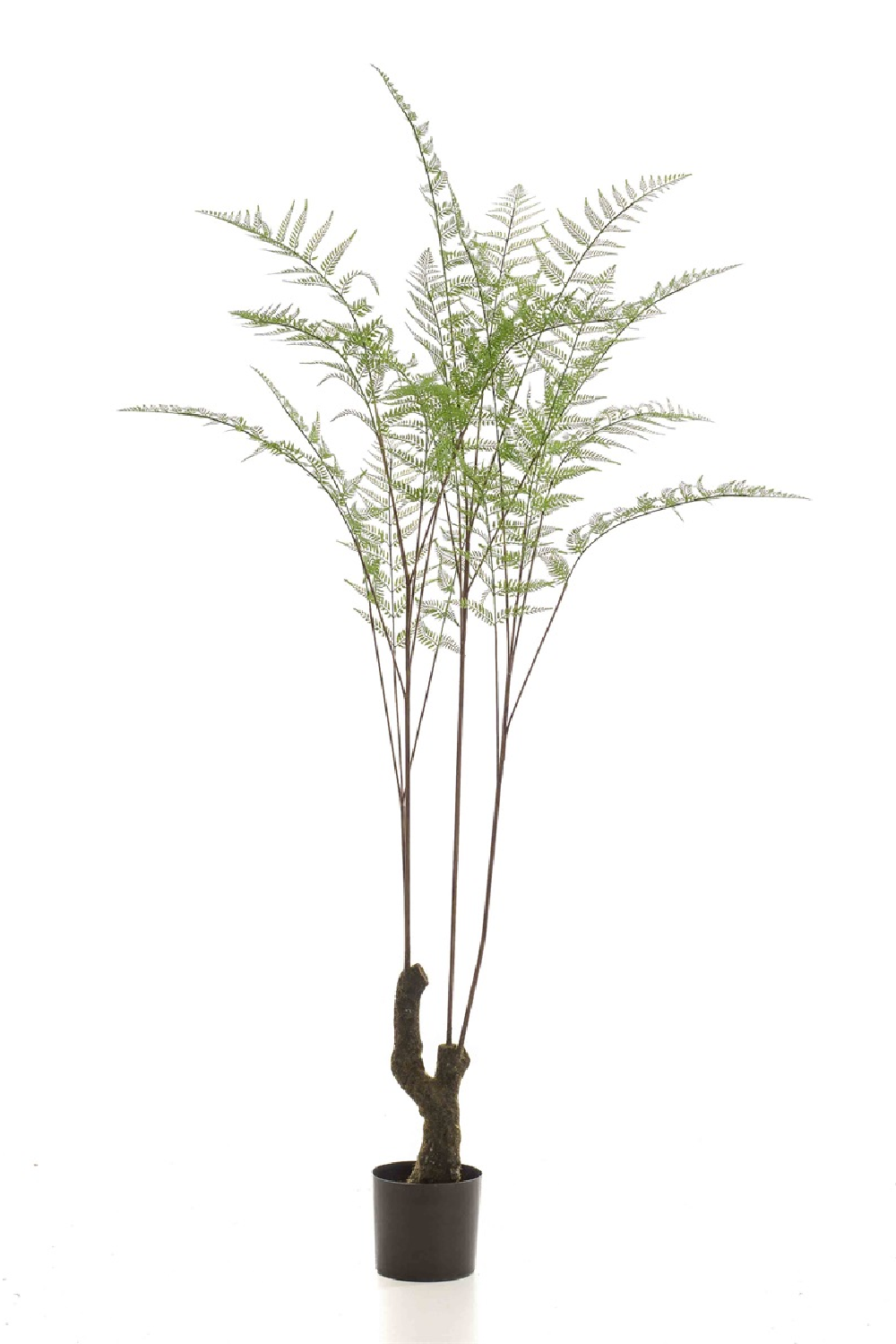 Decorative Potted Faux Plant Set (2) | Emerald Fern Forest On Trunk | Oroa.com