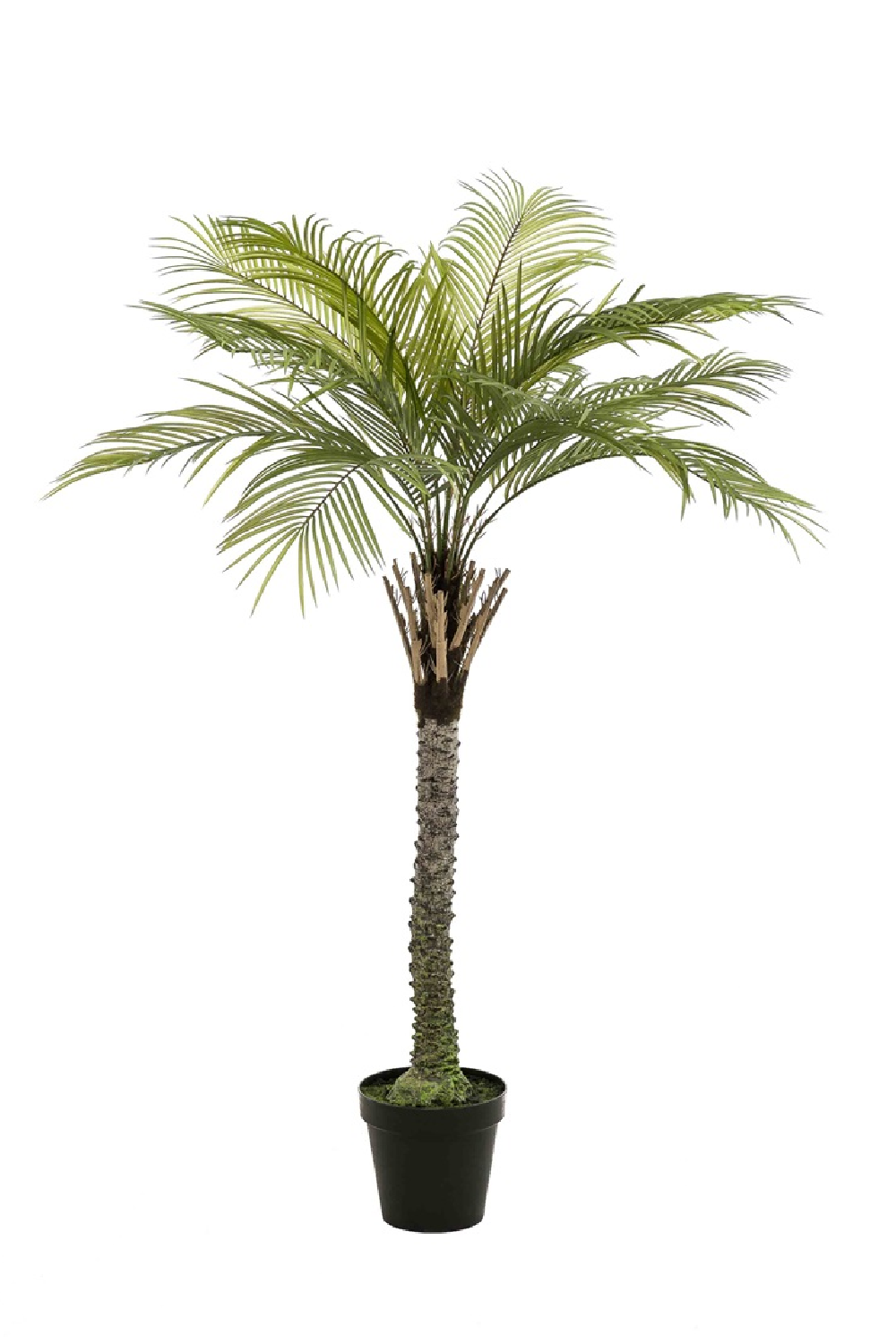Artificial Date Tree | Emerald Phoenix Palm Deluxe | Oroa.com