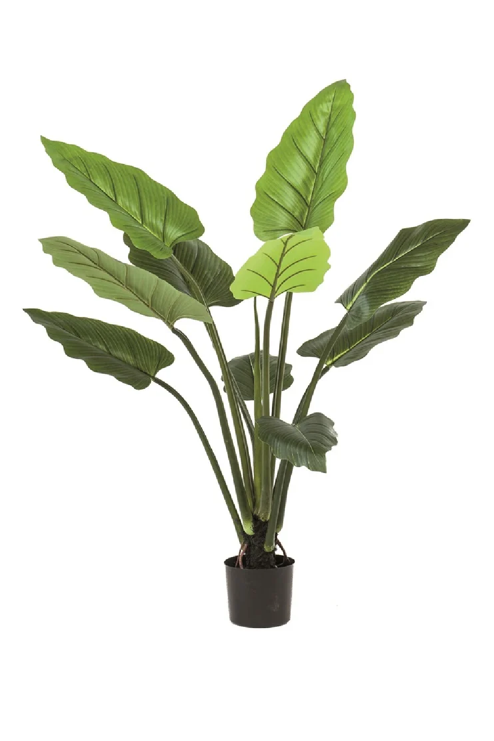 Green Heatleaf Faux Plant Set (2) | Emerald Philodendron | Oroa.com