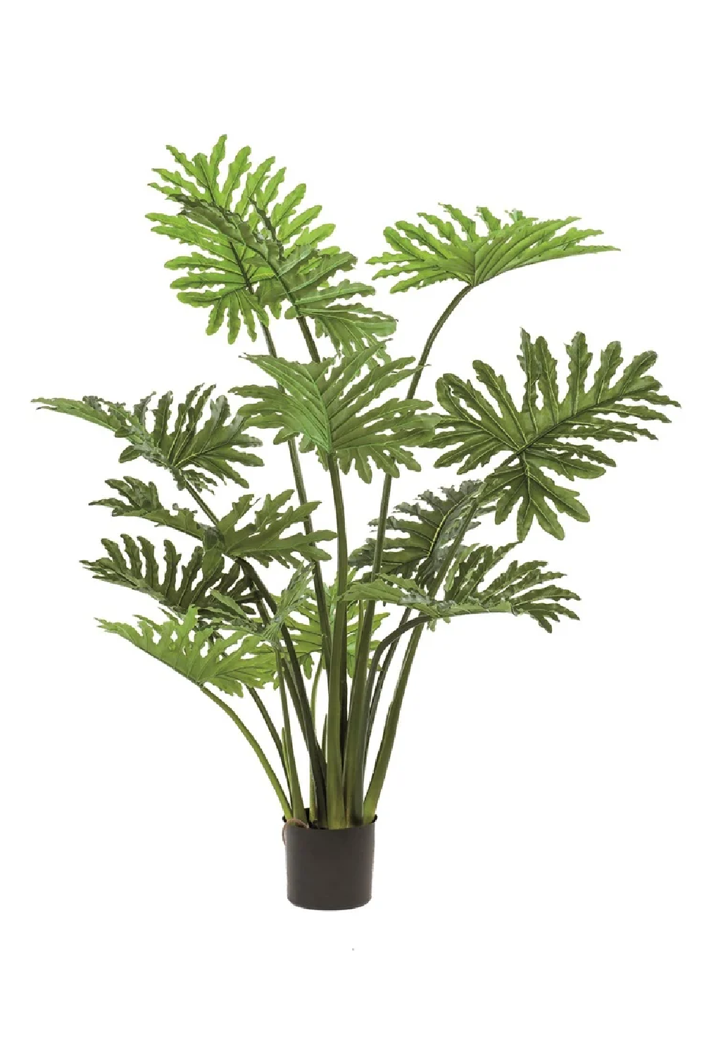 Green Split-Leaf Faux Plant Set (2) | Emerald Philodendron Selloum | Oroa.com