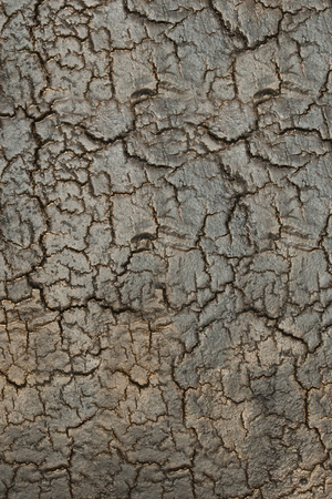 Metallic Side Table With Undershelf | Ethnicraft Pentagon │ Oroa.com