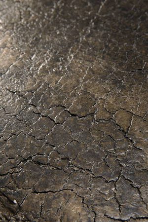 Round Coffee Table | Ethnicraft Luna