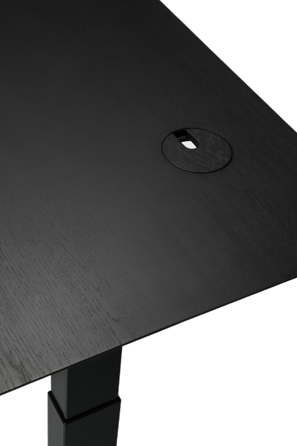 Oak Adjustable Desk M | Ethnicraft Bok | Oroa.com