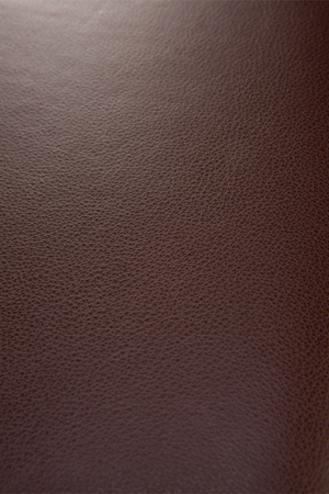 Industrial Dining Chair | Ethnicraft DC | Oroa.com