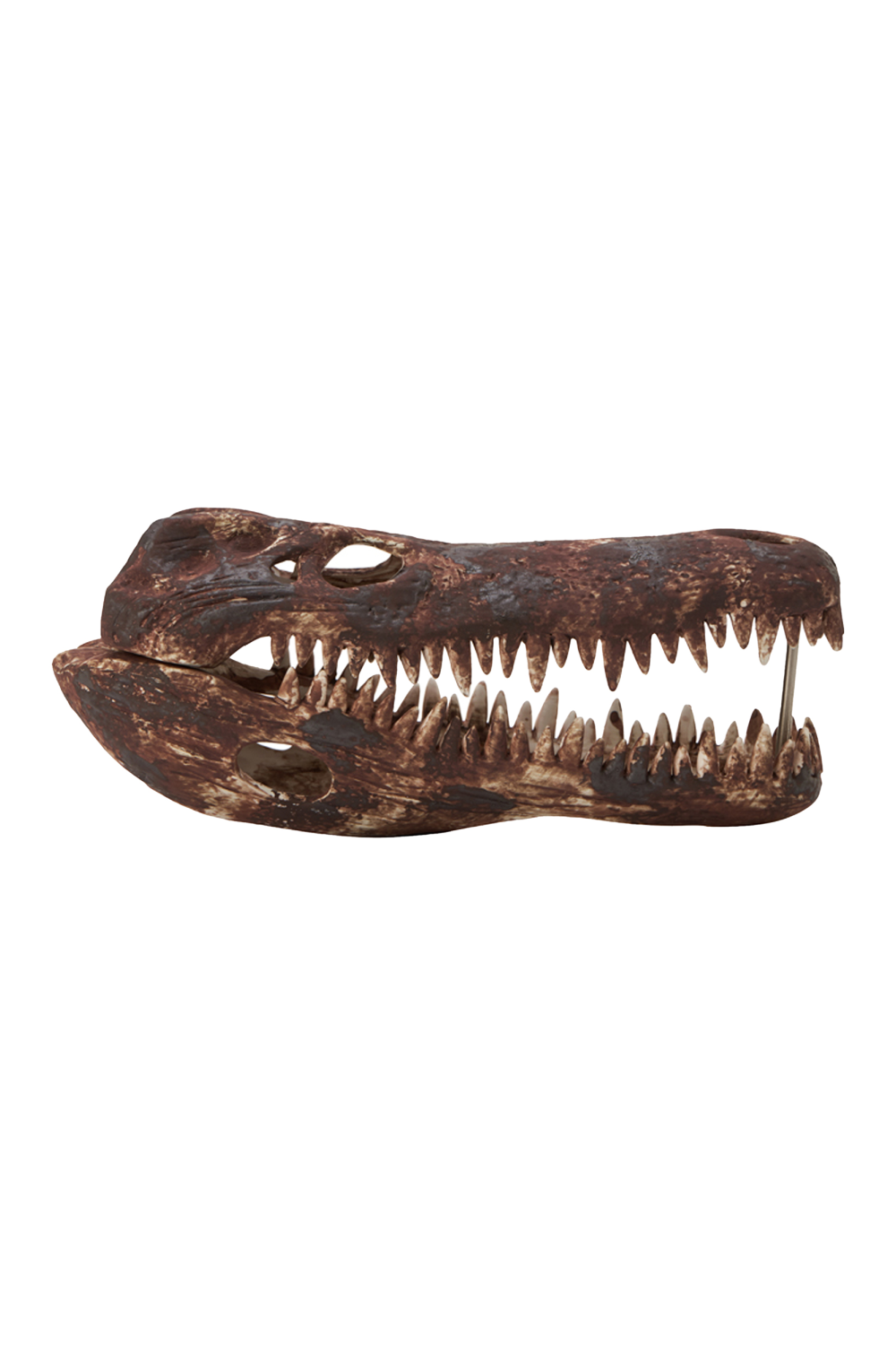 Brown Crocodile Skull Sculpture | Liang & Eimil Croco | Oroa.com