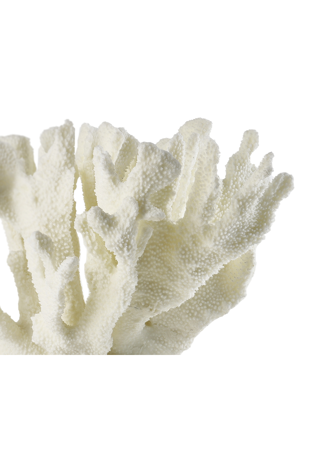 White Coral Sculpture | Liang & Eimil Rara | Oroa.com