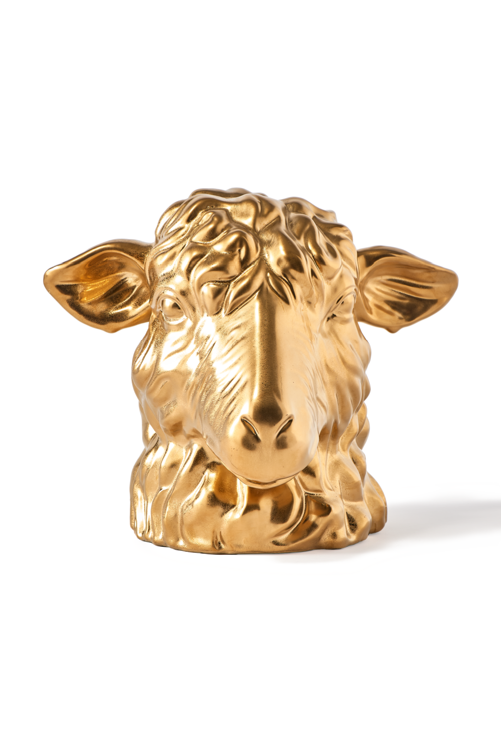 Gold Sheep Head Moneybox | Pols Potten Don't Eat Me, Save Me | Oroa.com