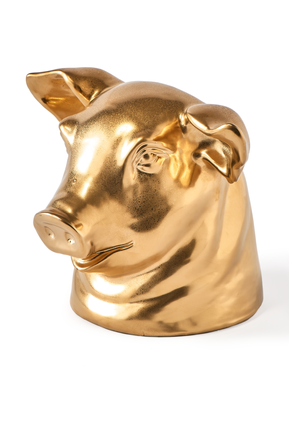 🐷 The Golden Piggy Mount 🐷