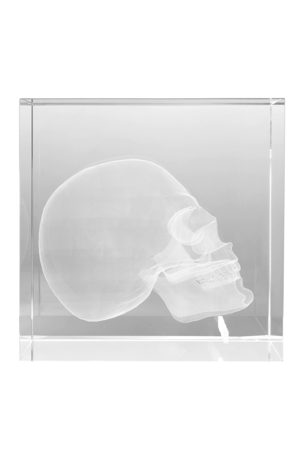 Maximalist Glass Sculpture | Philipp Plein Diamond Skull | Oroa.com