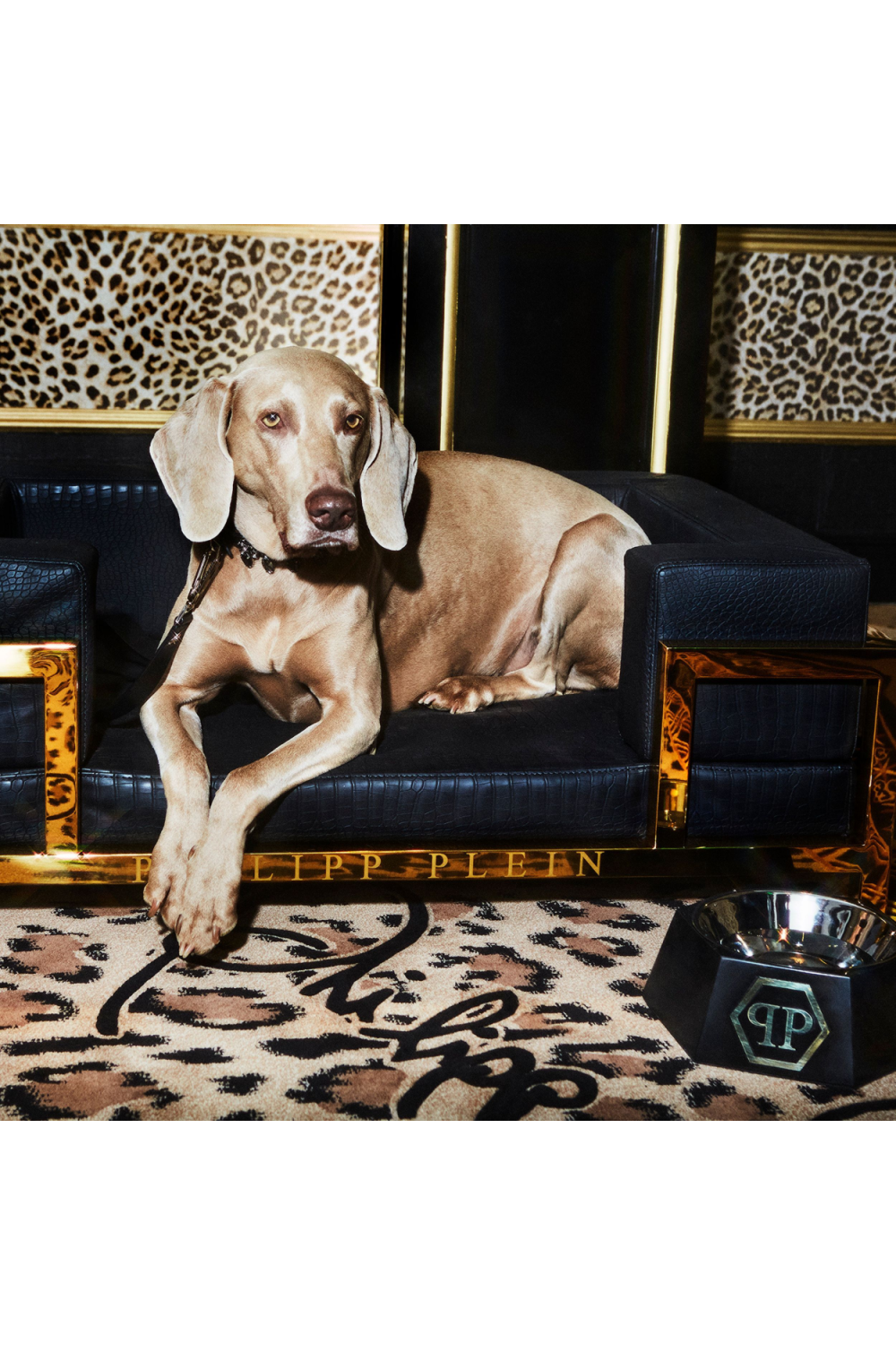 Black Marble Dog Food bowl XL Philipp Plein Nice