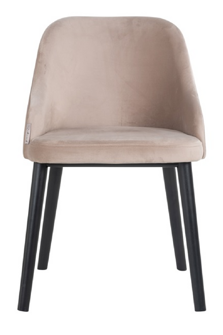 Modern Minimalist Dining Chair | Richmond Interiors Twiggy | Oroa.com