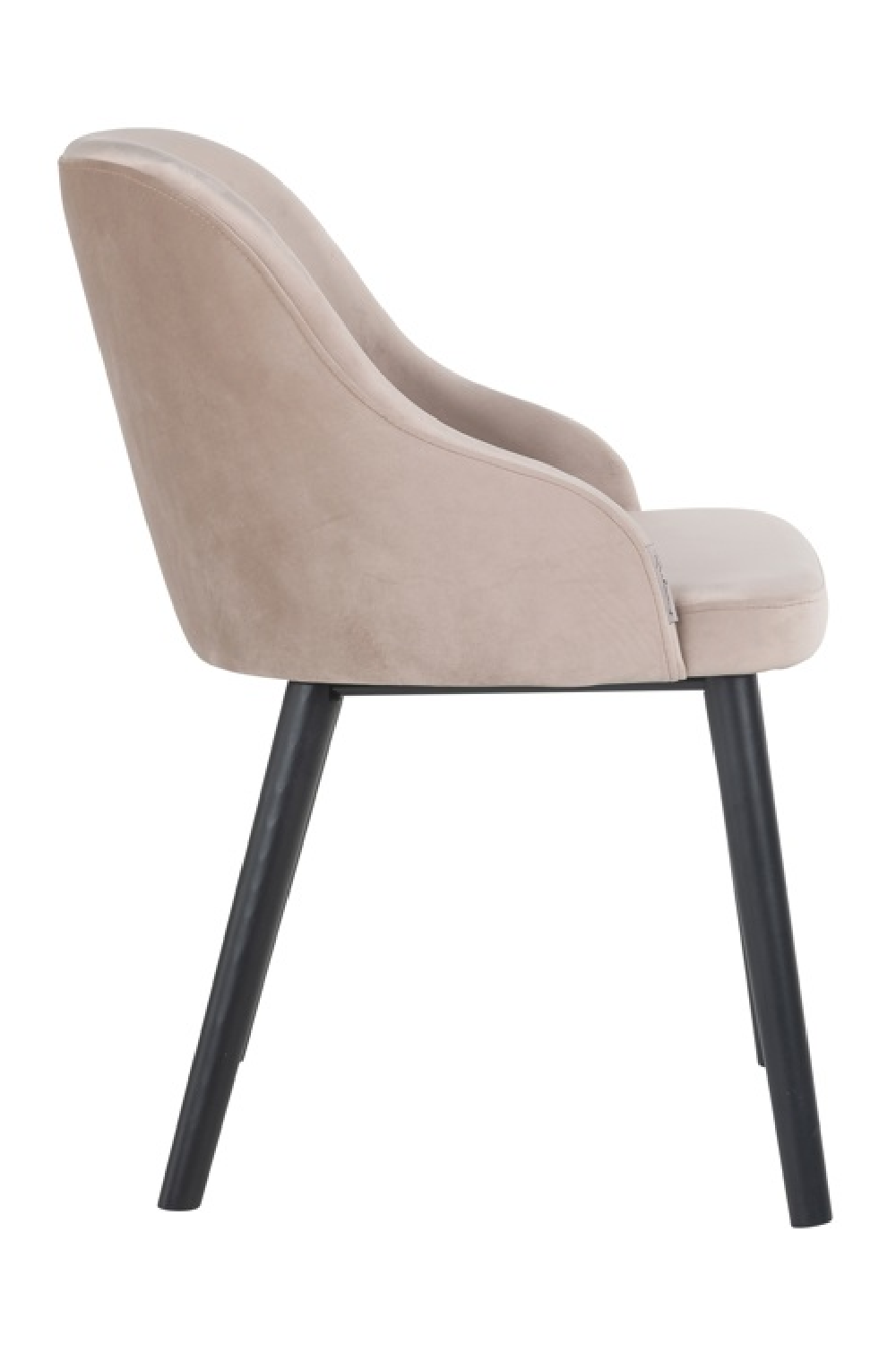 Modern Minimalist Dining Chair | Richmond Interiors Twiggy | Oroa.com