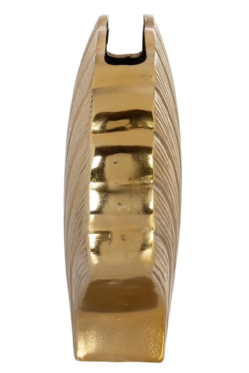 Gold Seashell Vase L | OROA Noé | Oroa.com