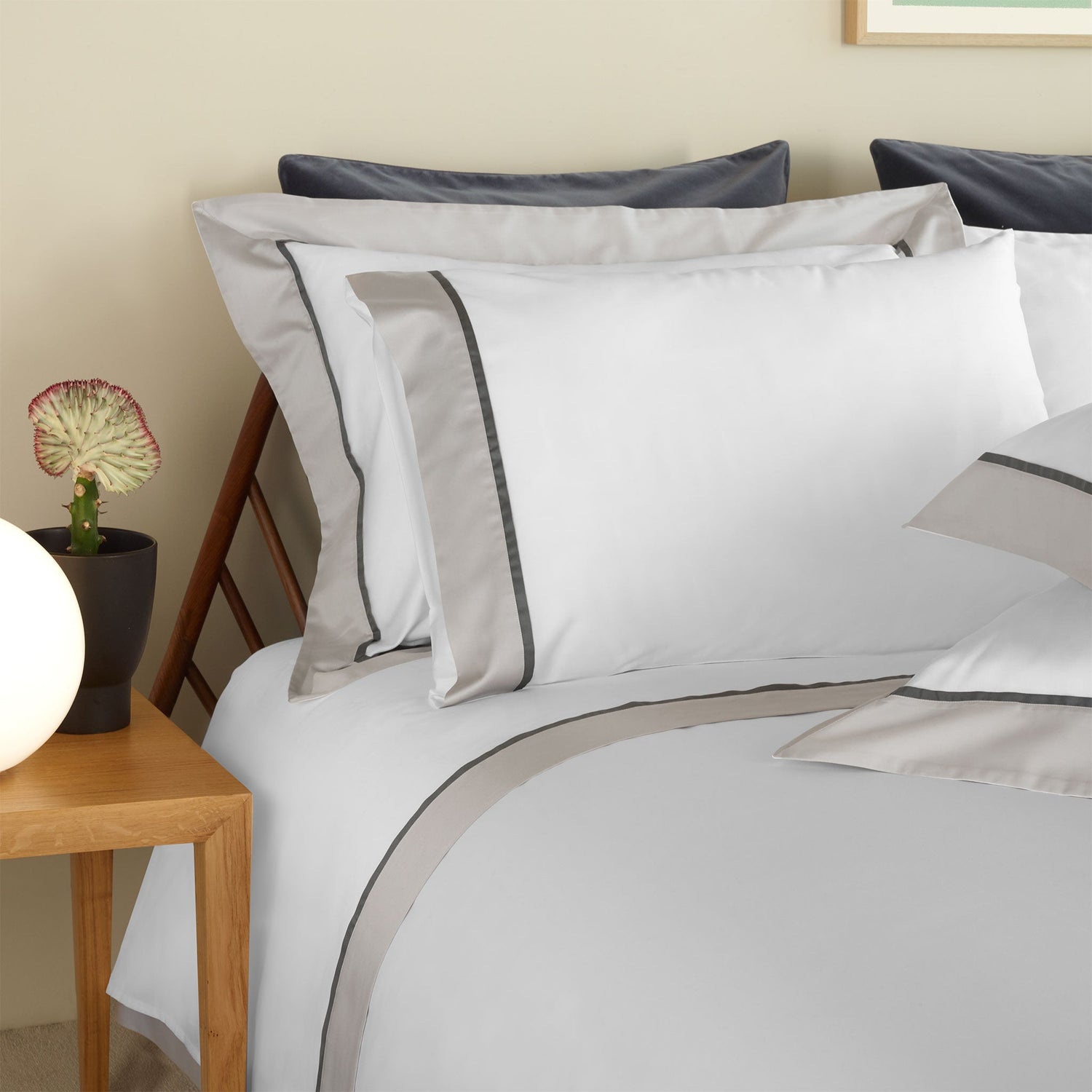 430TC Sateen Bordered Flat Sheet | Amalia Home Ovar | Oroa.com